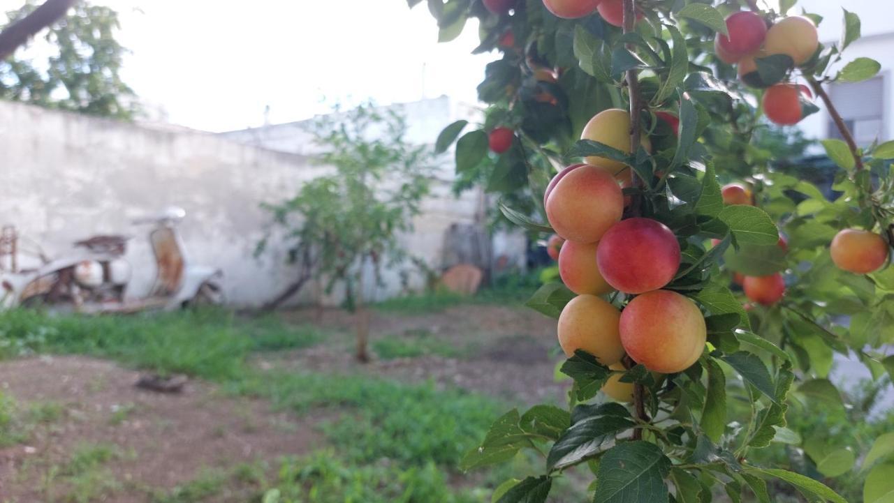 Jonia Appartamento Vacanze Vicino Al Mare Con Giardino 풀사노 외부 사진