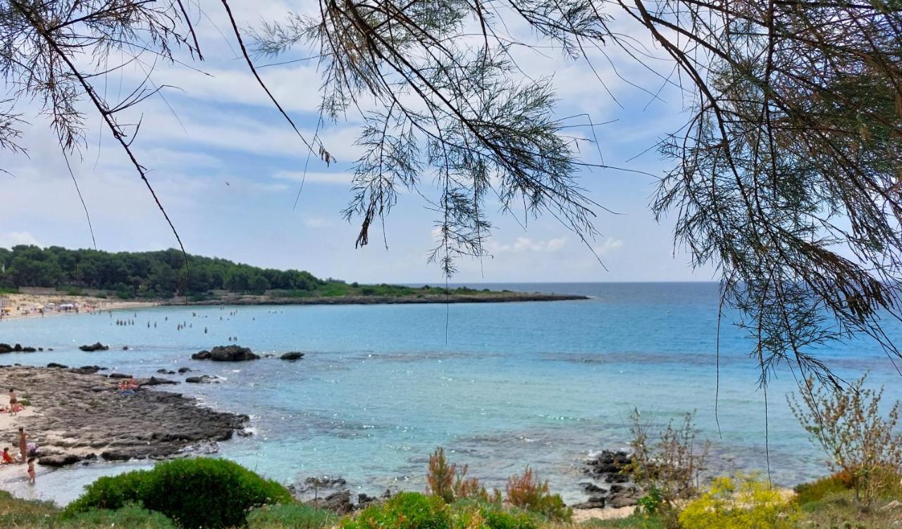 Jonia Appartamento Vacanze Vicino Al Mare Con Giardino 풀사노 외부 사진